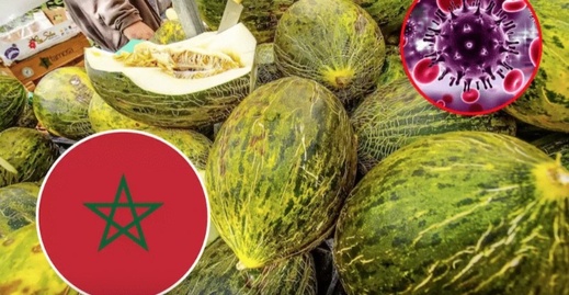 تحذير أوروبي جديد من اكتشاف مبيد حشري في شحنة بطيخ مغربي موجهة لإسبانيا تحذير أوروبي جديد من اكتشاف مبيد حشري في شحنة بطيخ مغربي موجهة لإسبانيا