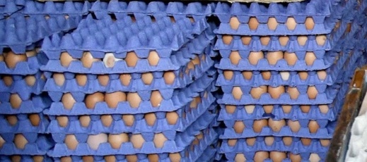أسعار البيض تسجل تراجعا بأسواق المملكة أسعار البيض تسجل تراجعا بأسواق المملكة