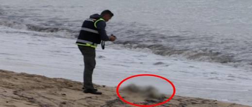 حاول السباحة إلى الثغر المحتل.. العثور على جثة مهاجر جزائري لفظه البحر حاول السباحة إلى الثغر المحتل.. العثور على جثة مهاجر جزائري لفظه البحر