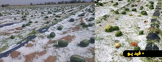 عاصفة عاصفة