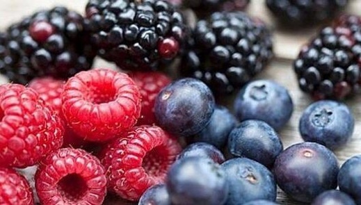 اكتشاف شظايا زجاج في شحنة توت أزرق مغربي وصلت إلى هولندا وألمانيا اكتشاف شظايا زجاج في شحنة توت أزرق مغربي وصلت إلى هولندا وألمانيا