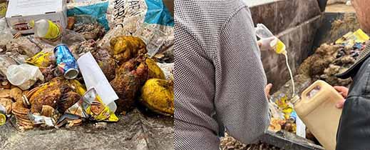 قبل أن تصل إلى بطون المستهلكين.. إتلاف مواد غذائية فاسدة بالعروي قبل أن تصل إلى بطون المستهلكين.. إتلاف مواد غذائية فاسدة بالعروي