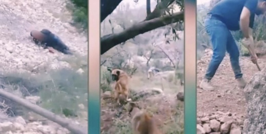 ثلاثة أشخاص يقتلون فلاحًا وزوجته توثق المشهد بهاتفها ثلاثة أشخاص يقتلون فلاحًا وزوجته توثق المشهد بهاتفها