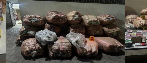 عصابة المخدرات تفشل في الفرار رغم الرصاص.. والأمن يحجز كمية ضخمة من السموم عصابة المخدرات تفشل في الفرار رغم الرصاص.. والأمن يحجز كمية ضخمة من السموم