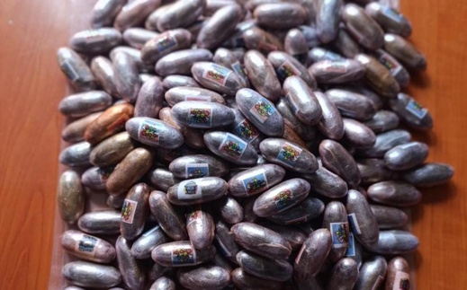 إفشال محاولة تهريب 3 كيلوغرامات من الشيرا بلعها شخصان بمعبر بني أنصار إفشال محاولة تهريب 3 كيلوغرامات من الشيرا بلعها شخصان بمعبر بني أنصار