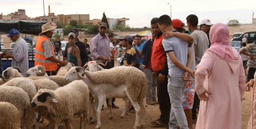 حملة وطنية لمنع ذبح الأضاحي.. هل يلتزم الناظور بالتعليمات؟ حملة وطنية لمنع ذبح الأضاحي.. هل يلتزم الناظور بالتعليمات؟