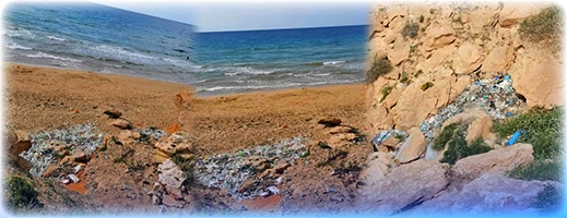 شاطئ  شاطئ