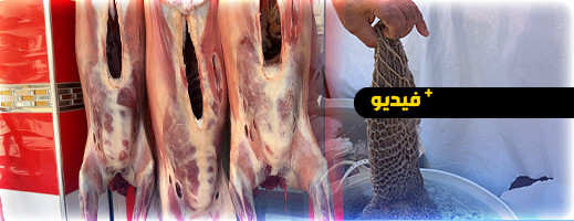 أرباب محلات الجزارة بالناظور يكشفون حقيقة أسعار اللحوم قبيل عيد الأضحى أرباب محلات الجزارة بالناظور يكشفون حقيقة أسعار اللحوم قبيل عيد الأضحى