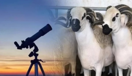 تحري هلال ذي الحجة اليوم.. وعيد الأضحى مرجح السبت تحري هلال ذي الحجة اليوم.. وعيد الأضحى مرجح السبت