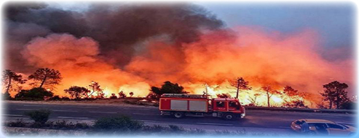 توقيف مشتبه فيه.. النيابة العامة تأمر بفتح تحقيق في حريق غابة هوارة توقيف مشتبه فيه.. النيابة العامة تأمر بفتح تحقيق في حريق غابة هوارة