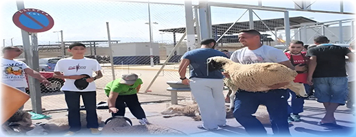 مسلمو سبتة يحتفلون بعيد الأضحى وفق تقويم المغرب ويميلون لتجاوز شعيرة النحر مسلمو سبتة يحتفلون بعيد الأضحى وفق تقويم المغرب ويميلون لتجاوز شعيرة النحر