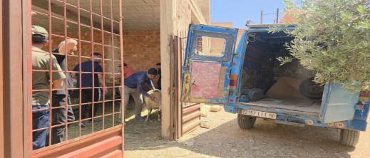 غير بعيد عن الناظور.. مداهمة غير بعيد عن الناظور.. مداهمة