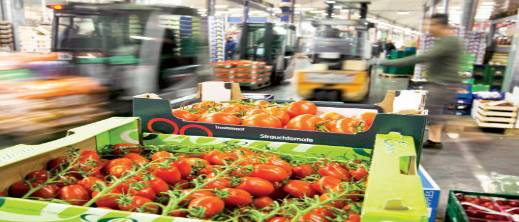 تضييق أوروبي مرتقب على المنتجات الفلاحية المغربية وسط صمت رسمي تضييق أوروبي مرتقب على المنتجات الفلاحية المغربية وسط صمت رسمي