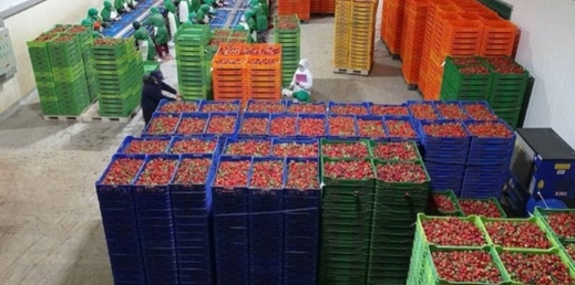 تفوق المنتجات المغربية في الأسواق الإسبانية يُشعل غضب الفلاحين تفوق المنتجات المغربية في الأسواق الإسبانية يُشعل غضب الفلاحين