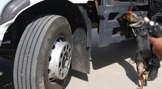 توقيف مغربي بألميريا هرب سجائر في حافلة قادمة من الناظور توقيف مغربي بألميريا هرب سجائر في حافلة قادمة من الناظور