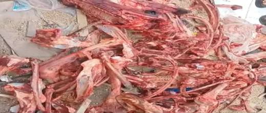 فضيحة في الدار البيضاء.. العثور على رؤوس حمير وعظام ولحوم غامضة فضيحة في الدار البيضاء.. العثور على رؤوس حمير وعظام ولحوم غامضة