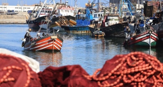 الكميات المفرغة من منتجات الصيد الساحلي والتقليدي تسجل تراجعا بميناء الناظور
