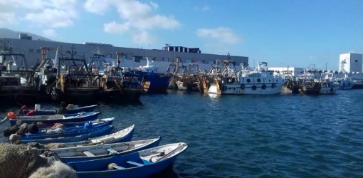 تراجع ملحوظ في كميات وقيمة الأسماك بميناء الناظور خلال الأشهر الأخيرة تراجع ملحوظ في كميات وقيمة الأسماك بميناء الناظور خلال الأشهر الأخيرة