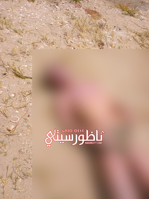 مأساة بالناظور.. العثور على طفل مصاب بالتوحد جثة هامدة في البحر مأساة بالناظور.. العثور على طفل مصاب بالتوحد جثة هامدة في البحر
