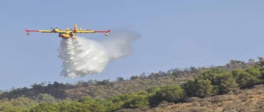 خطر برتقالي يهدد الناظور والحسيمة.. السلطات تدعو للحذر في المناطق الغابوية خطر برتقالي يهدد الناظور والحسيمة.. السلطات تدعو للحذر في المناطق الغابوية