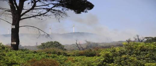 توقيف المتسبب في حريق عين الحصن.. والساكنة تطالب بالقصاص توقيف المتسبب في حريق عين الحصن.. والساكنة تطالب بالقصاص