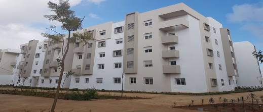 167 ألف طلب لدعم السكن المباشر.. والقرى تستفيد بـ3 آلاف دعم لأول مرة 167 ألف طلب لدعم السكن المباشر.. والقرى تستفيد بـ3 آلاف دعم لأول مرة