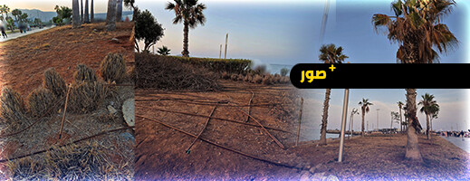 كورنيش الناظور يحتضر.. إهمال صارخ يشوه وجه المدينة مع بداية موسم الصيف كورنيش الناظور يحتضر.. إهمال صارخ يشوه وجه المدينة مع بداية موسم الصيف