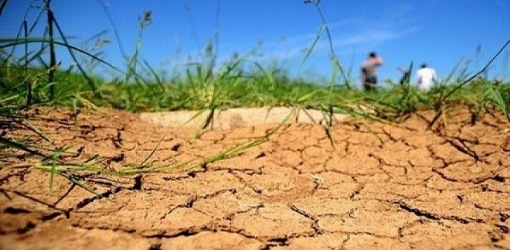 حرارة قياسية تضرب المغرب وتهدد الفلاحة: محاصيل في خطر والفلاحون يدقون ناقوس الخطر حرارة قياسية تضرب المغرب وتهدد الفلاحة: محاصيل في خطر والفلاحون يدقون ناقوس الخطر