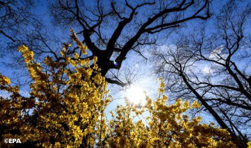 توقعات أحوال الطقس اليوم الاثنين توقعات أحوال الطقس اليوم الاثنين