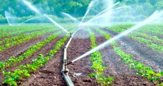 استمرار تصدير "المياه" يسائل أولويات الأمن المائي الوطني لدى الحكومة استمرار تصدير "المياه" يسائل أولويات الأمن المائي الوطني لدى الحكومة