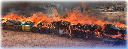 إتلاف أزيد من طنين من المخدرات المحجوزة بضواحي الحسيمة في عمليات أمنية متفرقة إتلاف أزيد من طنين من المخدرات المحجوزة بضواحي الحسيمة في عمليات أمنية متفرقة