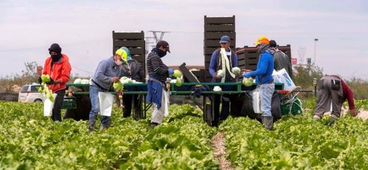 أفراد الجالية المغربية يتصدرون قائمة العمال الأجانب بإسبانيا أفراد الجالية المغربية يتصدرون قائمة العمال الأجانب بإسبانيا