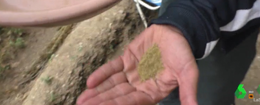 تاجر مخدرات مغربي: تاجر مخدرات مغربي: