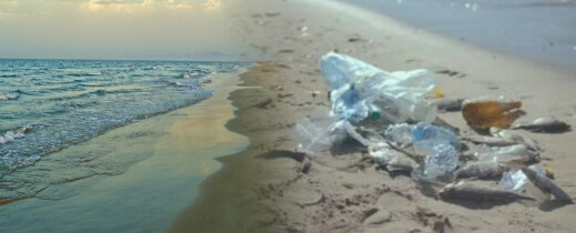 الأزبال تغزو شاطئ بوقانة في عز الصيف وتُغضب المصطافين