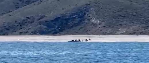 توقيف 11 مغربيا حاولوا دخول إسبانيا بطريقة سرية عبر زورق سريع توقيف 11 مغربيا حاولوا دخول إسبانيا بطريقة سرية عبر زورق سريع