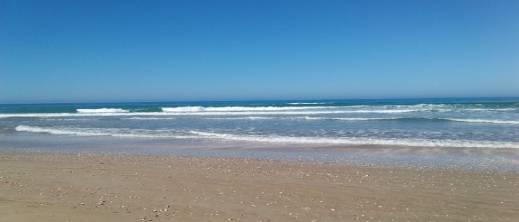 شاطئ ميامي ببني انصار.. إنقاذ طفل من الغرق بعد ساعات من مأساة شاب جزائري شاطئ ميامي ببني انصار.. إنقاذ طفل من الغرق بعد ساعات من مأساة شاب جزائري