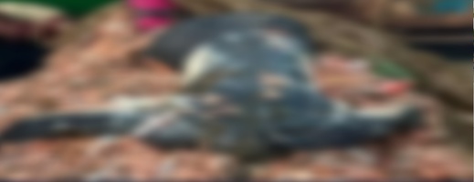 انتشال جثة شاب عالقة في شبكة صيد