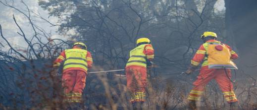 طائرات كاندير وتوربو تراش تحسم بشكل نهائي معركة إطفاء حريق دردارة طائرات كاندير وتوربو تراش تحسم بشكل نهائي معركة إطفاء حريق دردارة