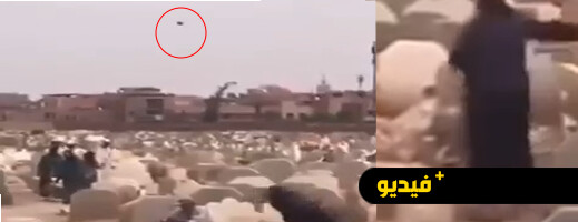 مراكش.. عراك بين متسولين داخل مقبرة يثير الاستنكار مراكش.. عراك بين متسولين داخل مقبرة يثير الاستنكار