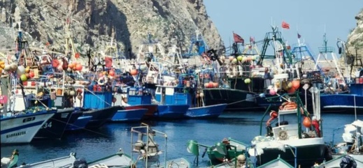 تراجع في كميات وقيمة مفرغات الصيد الساحلي بميناء الحسيمة تراجع في كميات وقيمة مفرغات الصيد الساحلي بميناء الحسيمة