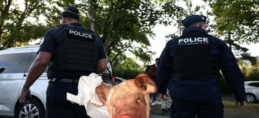 العثور على 9 رؤوس خنازير أمام مساجد بفرنسا العثور على 9 رؤوس خنازير أمام مساجد بفرنسا