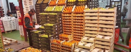 900 مليون يورو من الفواكه والخضر المغربية تصدر نحو أسواق إسبانيا 900 مليون يورو من الفواكه والخضر المغربية تصدر نحو أسواق إسبانيا