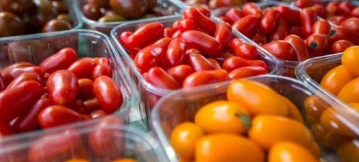 هولندا تسحب طماطم كرزية مغربية من الأسواق بدعوى احتوائها على معادن ثقيلة هولندا تسحب طماطم كرزية مغربية من الأسواق بدعوى احتوائها على معادن ثقيلة