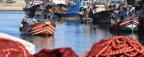 مفرغات الصيد البحري بميناء الناظور تسجل تراجعا ملحوظا