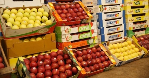 وزير إسباني يرد على المعارضة: واردات المغرب مراقبة بدقة ولا تشكل تهديدا وزير إسباني يرد على المعارضة: واردات المغرب مراقبة بدقة ولا تشكل تهديدا