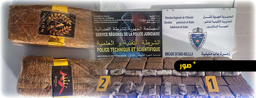 جمارك باب مليلية تضبط 30 كلغ من الحشيش جمارك باب مليلية تضبط 30 كلغ من الحشيش