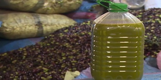 بعد سحبه من فرنسا.. مرصد يطالب بمراقبة الزيتون في السوق المحلية بعد سحبه من فرنسا.. مرصد يطالب بمراقبة الزيتون في السوق المحلية