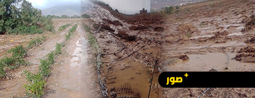 فيضانات اتروكوت تلتهم استثمار فلاح شاب وتكبده خسائر تفوق 60 مليون