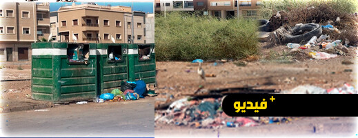 الأزبال والكلاب الضالة و"البوعارة" تحاصر حي المطار والسكان يطالبون بالإنقاذ الأزبال والكلاب الضالة و"البوعارة" تحاصر حي المطار والسكان يطالبون بالإنقاذ