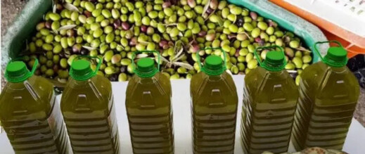 أسعار زيت الزيتون تنخفض بالناظور بفضل وفرة الإنتاج ووعي المستهلكين